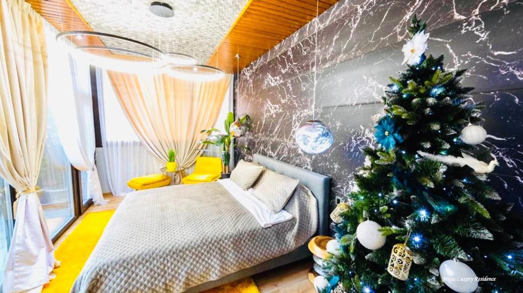 Maya Luxury Residence 波亚纳布拉索夫 外观 照片