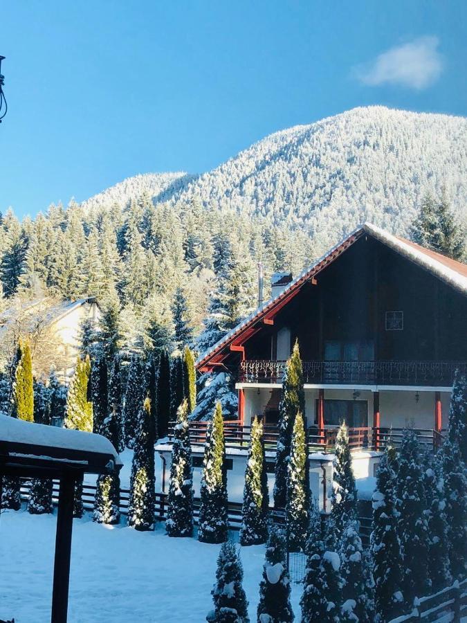 Maya Luxury Residence 波亚纳布拉索夫 外观 照片