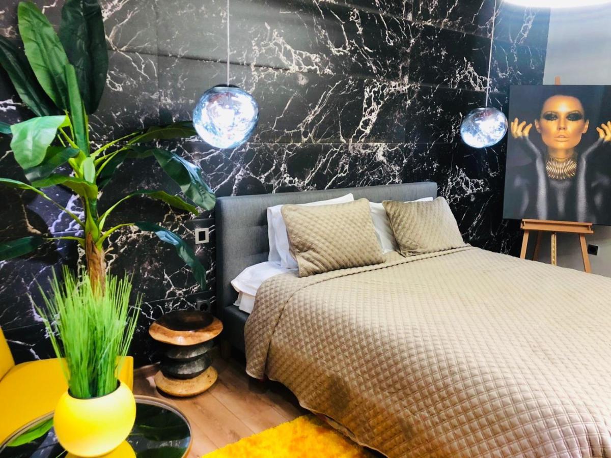 Maya Luxury Residence 波亚纳布拉索夫 外观 照片