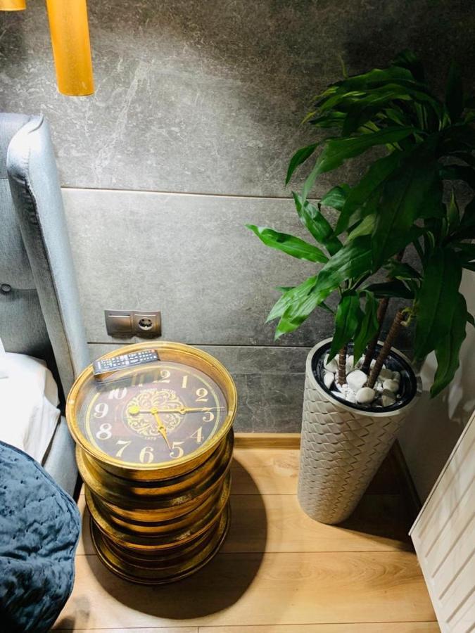 Maya Luxury Residence 波亚纳布拉索夫 外观 照片