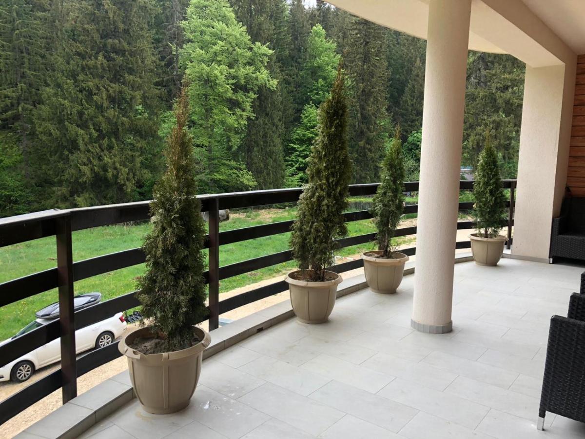 Maya Luxury Residence 波亚纳布拉索夫 外观 照片