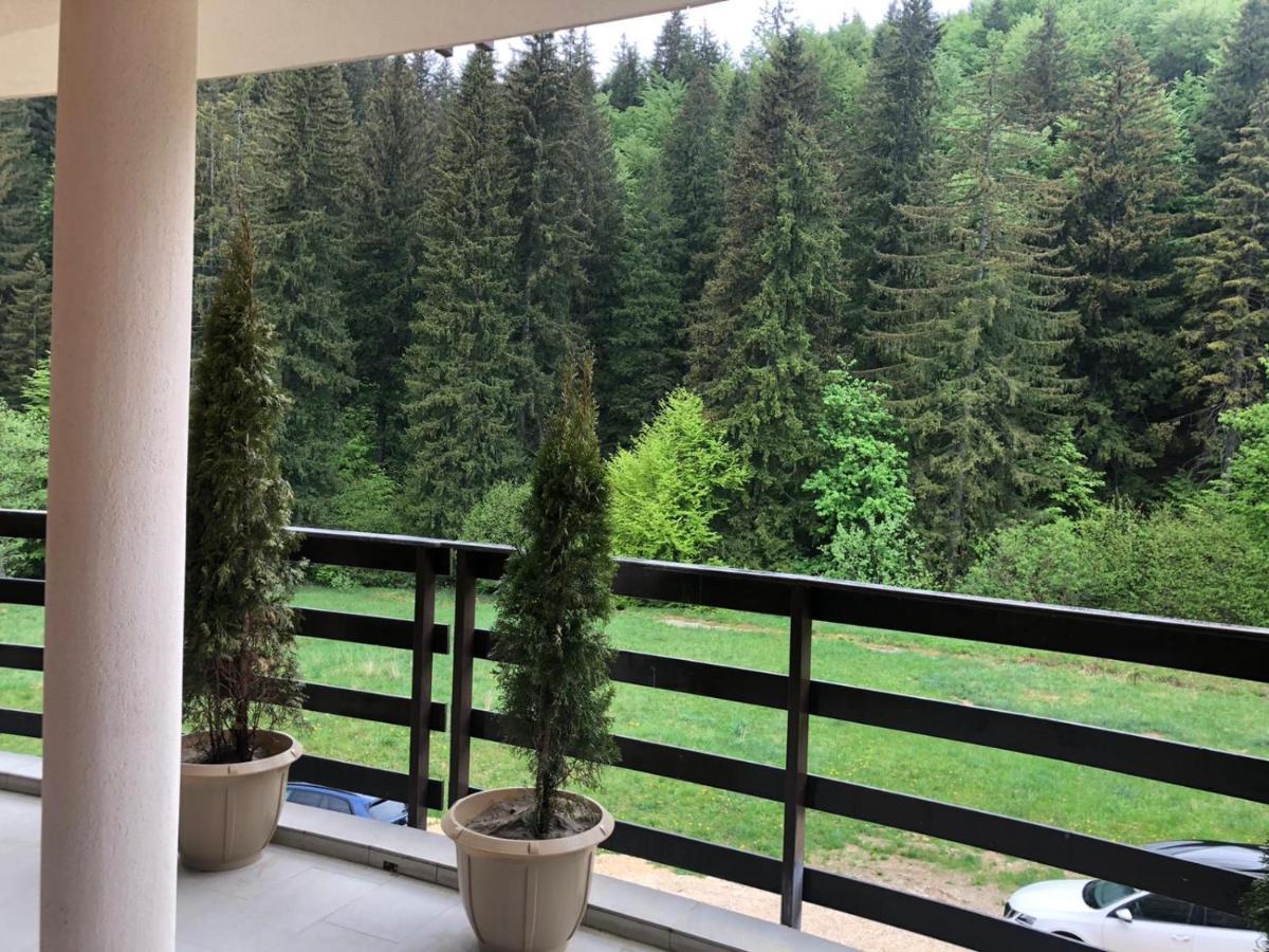Maya Luxury Residence 波亚纳布拉索夫 外观 照片