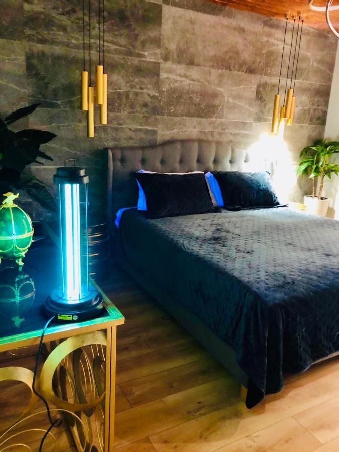 Maya Luxury Residence 波亚纳布拉索夫 外观 照片